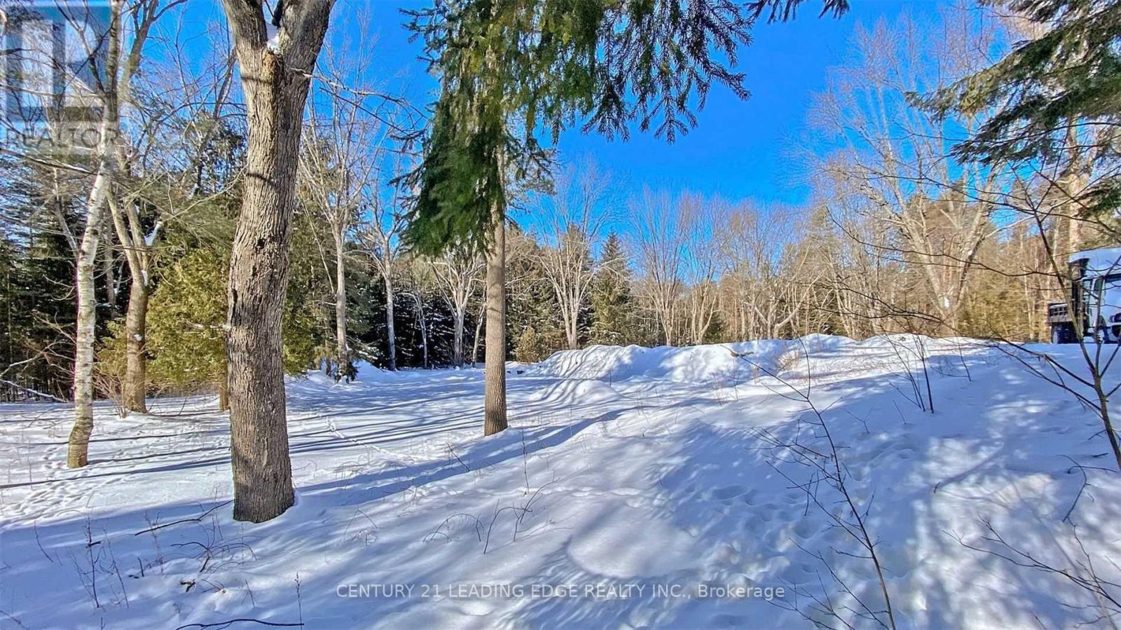 4035 Aurora Road Property Photo 21