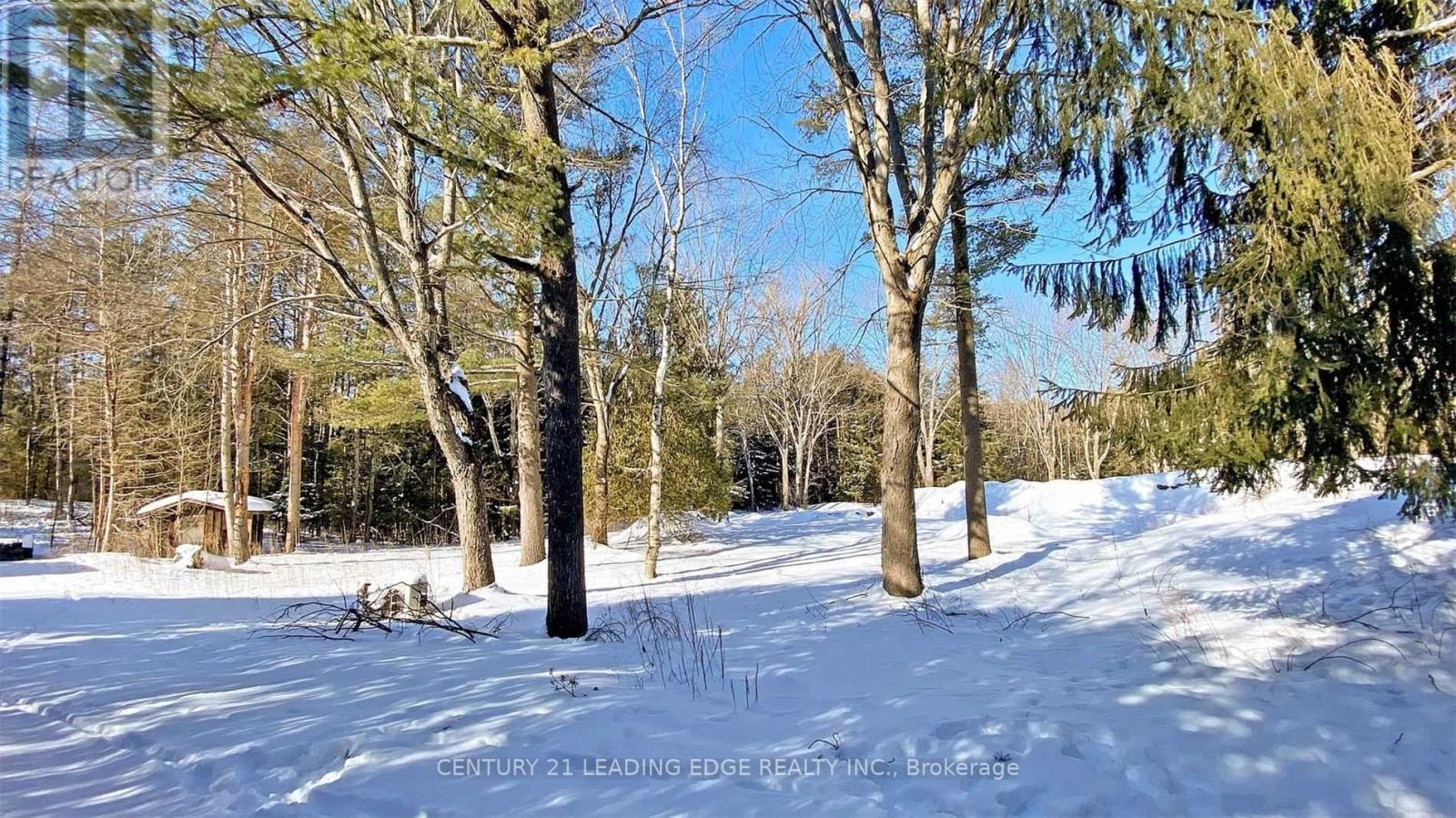 4035 Aurora Road Property Photo 22