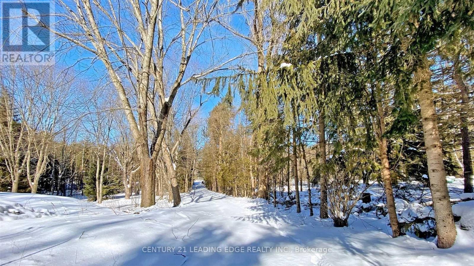 4035 Aurora Road Property Photo 24