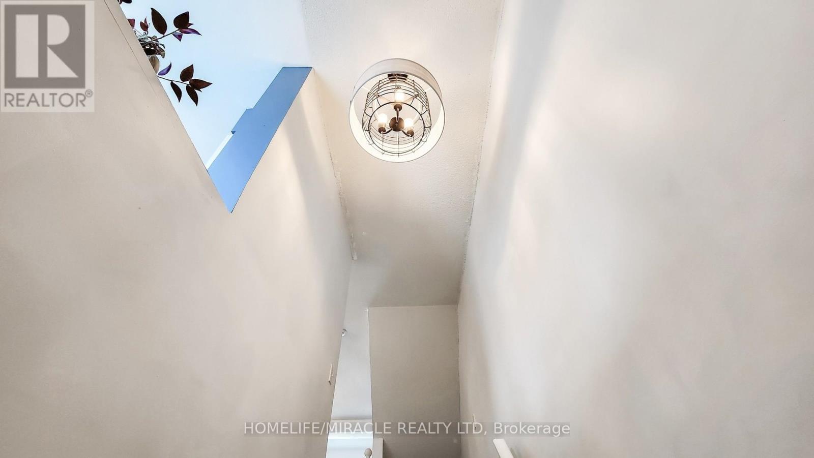 4 William Curtis Circle Property Photo 18