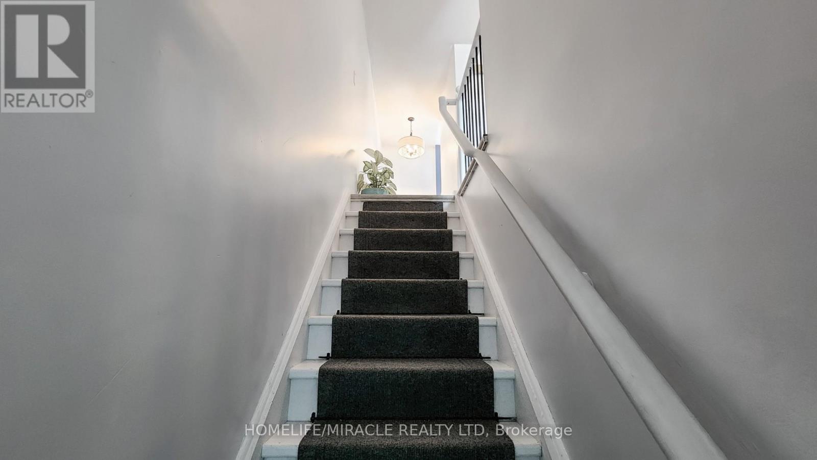 4 William Curtis Circle Property Photo 33
