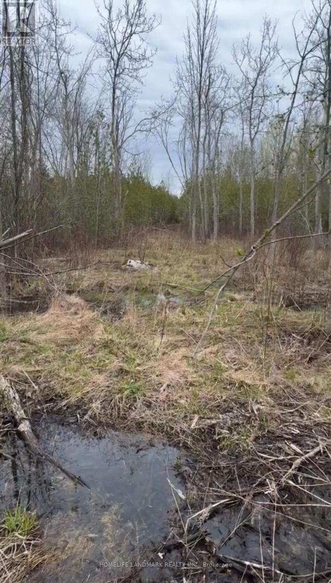 B192 Durham Regional 23 Road Property Photo 4