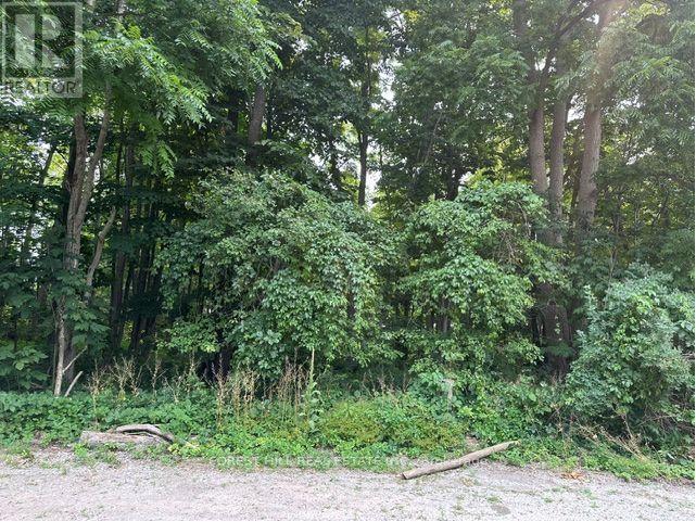 2728 25TH SIDE ROAD