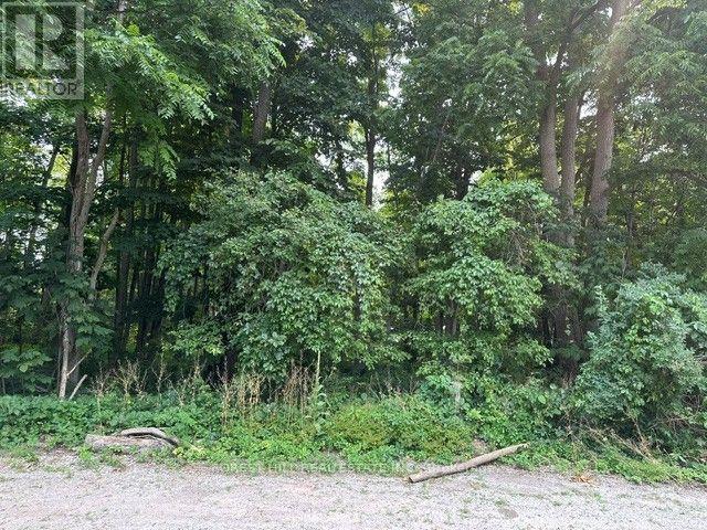 2728 25th Side Road Property Photo 3