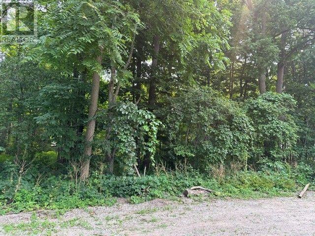 2728 25th Side Road Property Photo 5