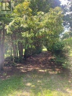 38 Lembitu Avenue Property Photo 2