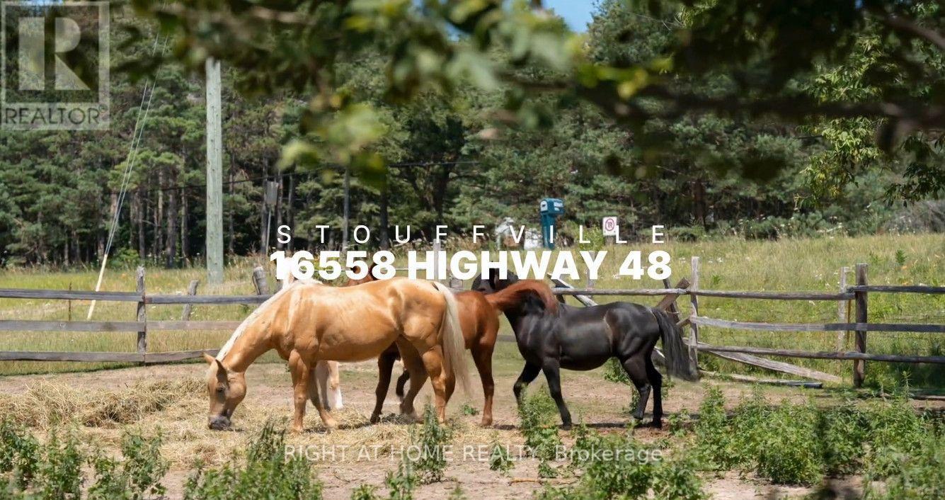 16558 Highway 48 Property Photo 1