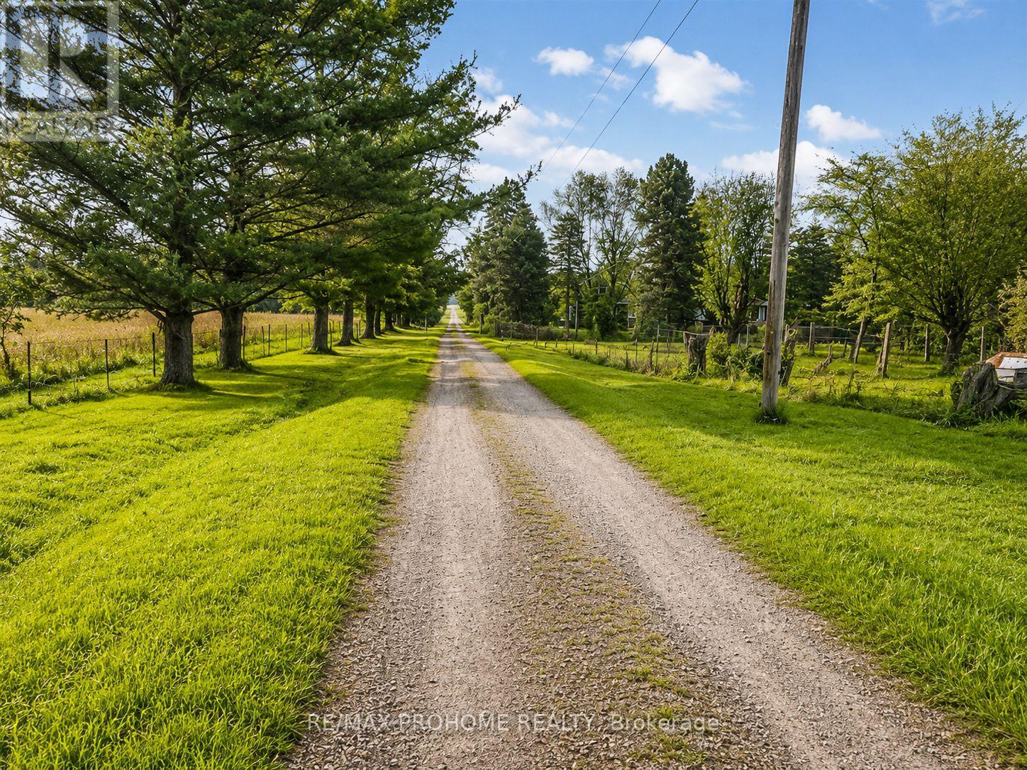 3869 7th Line Property Photo 4