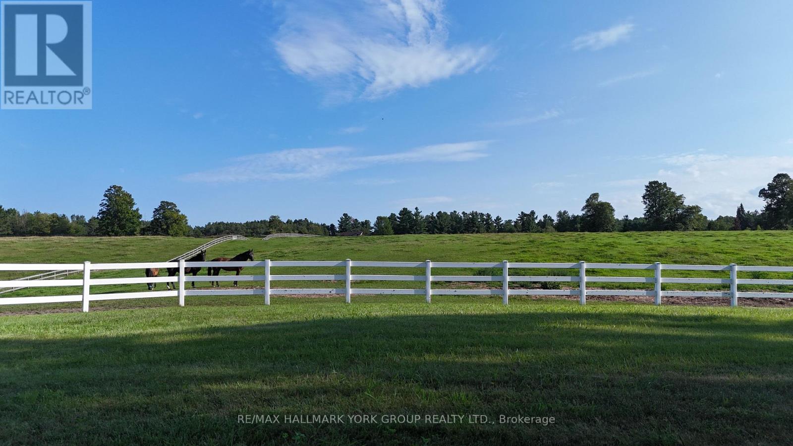 16979 Ninth Line Property Photo 36