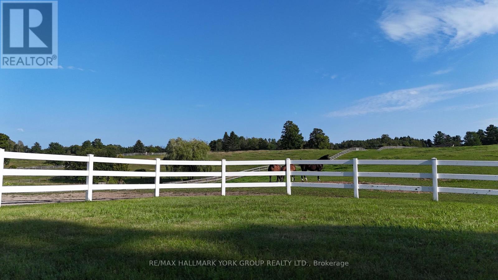 16979 Ninth Line Property Photo 47