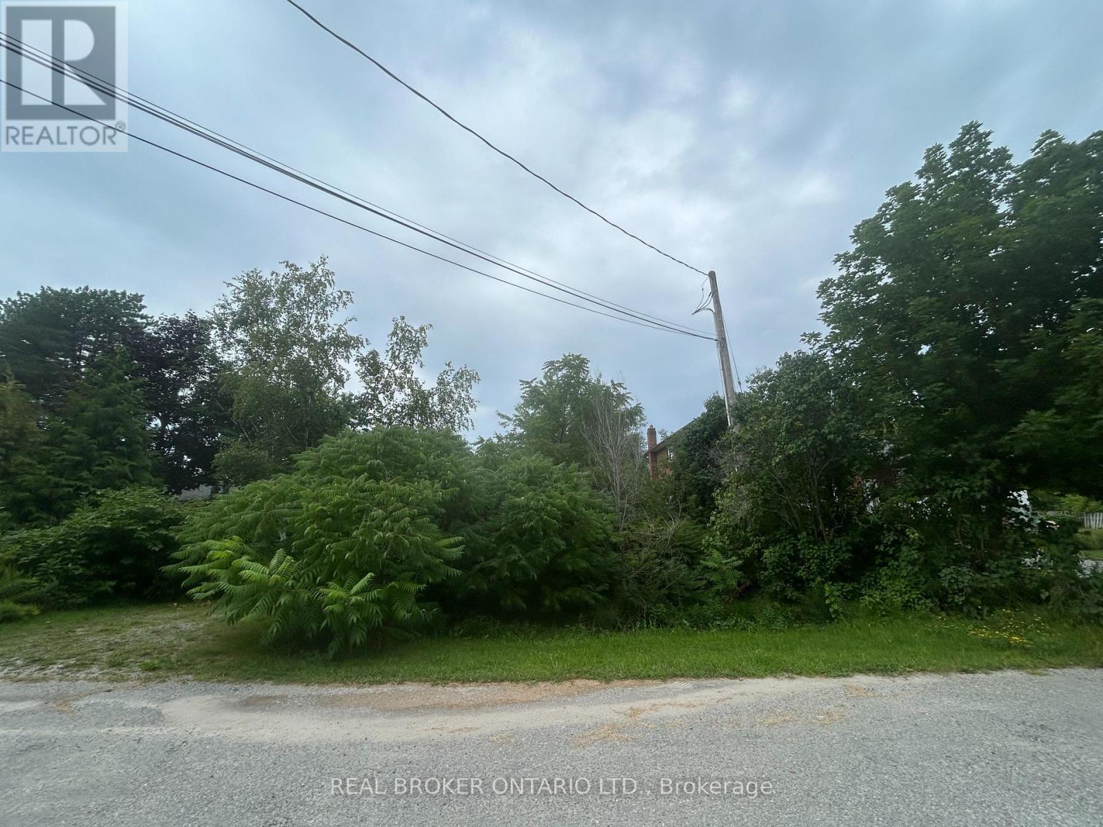 18 Ashwood Avenue Property Photo 4