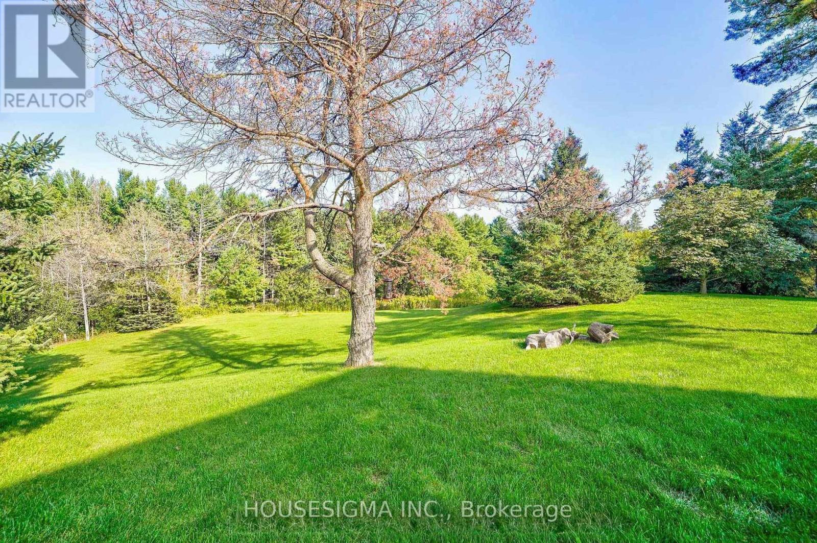95 Cavell Avenue Property Photo 28