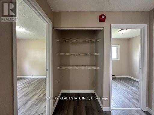 12 - 7 Lowndes Avenue Property Photo 8