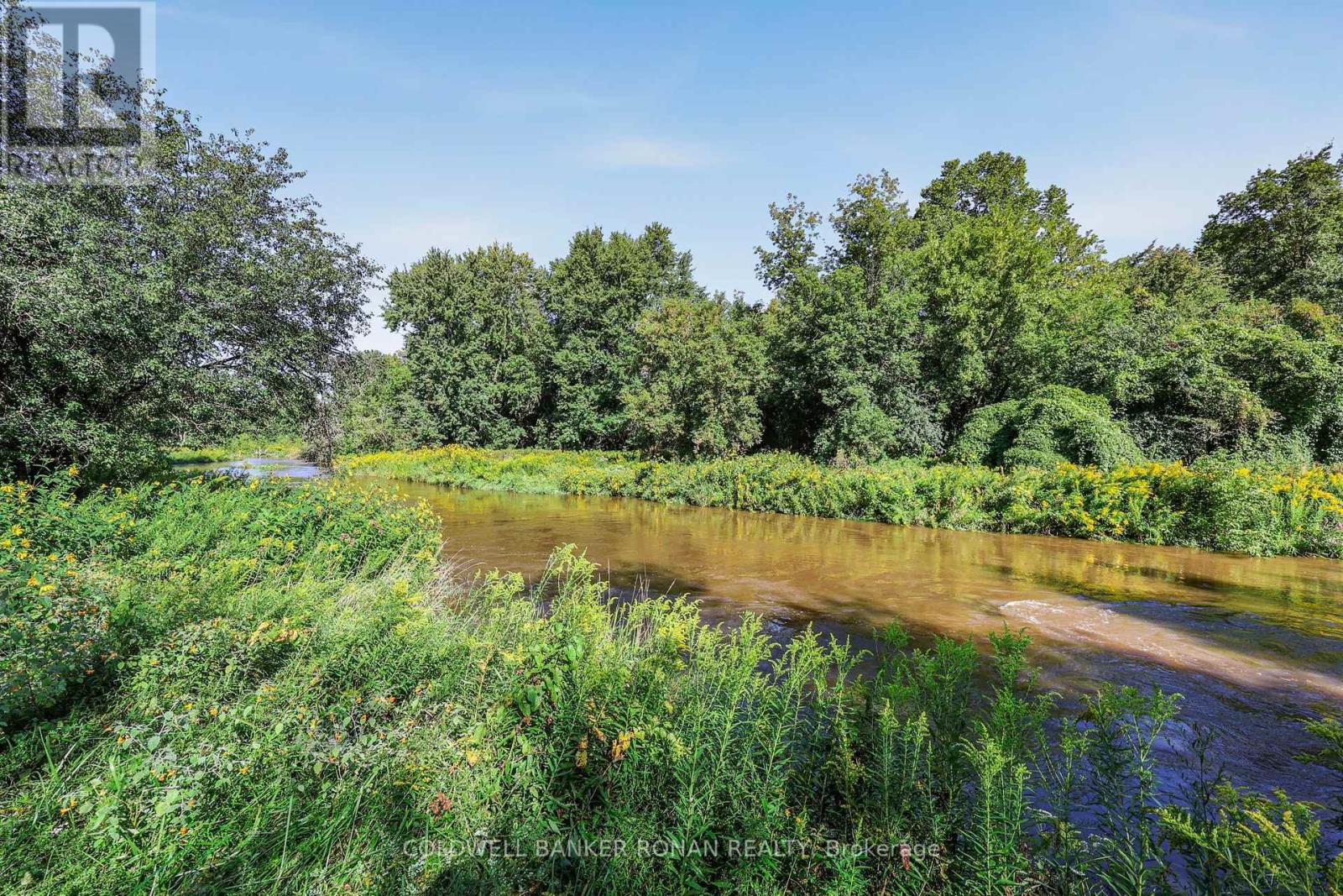 7602 25th Sideroad Property Photo 33