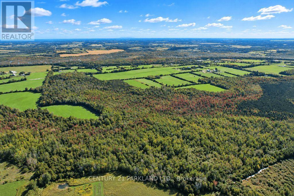 #10 - 1320 Concession Road E Property Photo 34