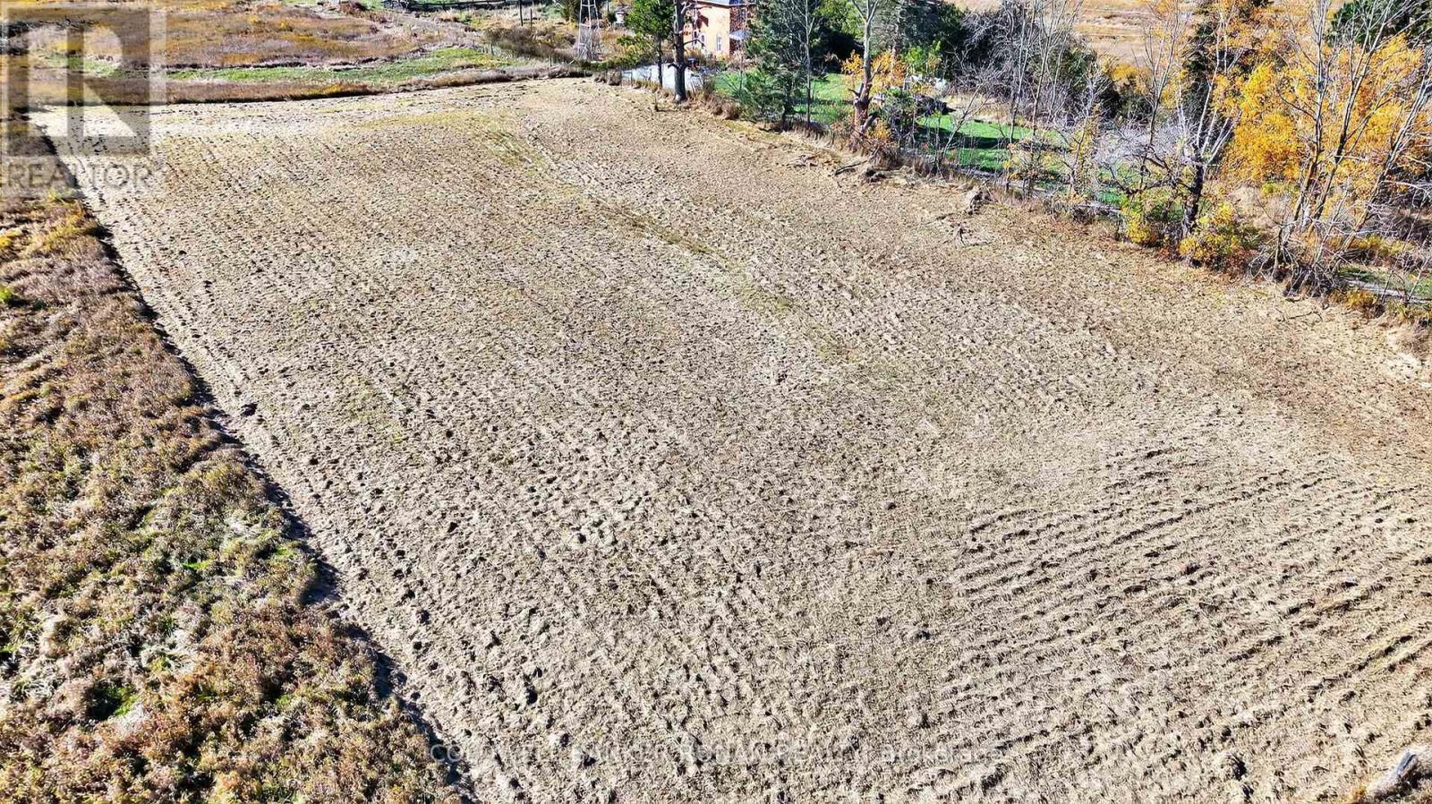 3142 County Rd 50 Property Photo 6