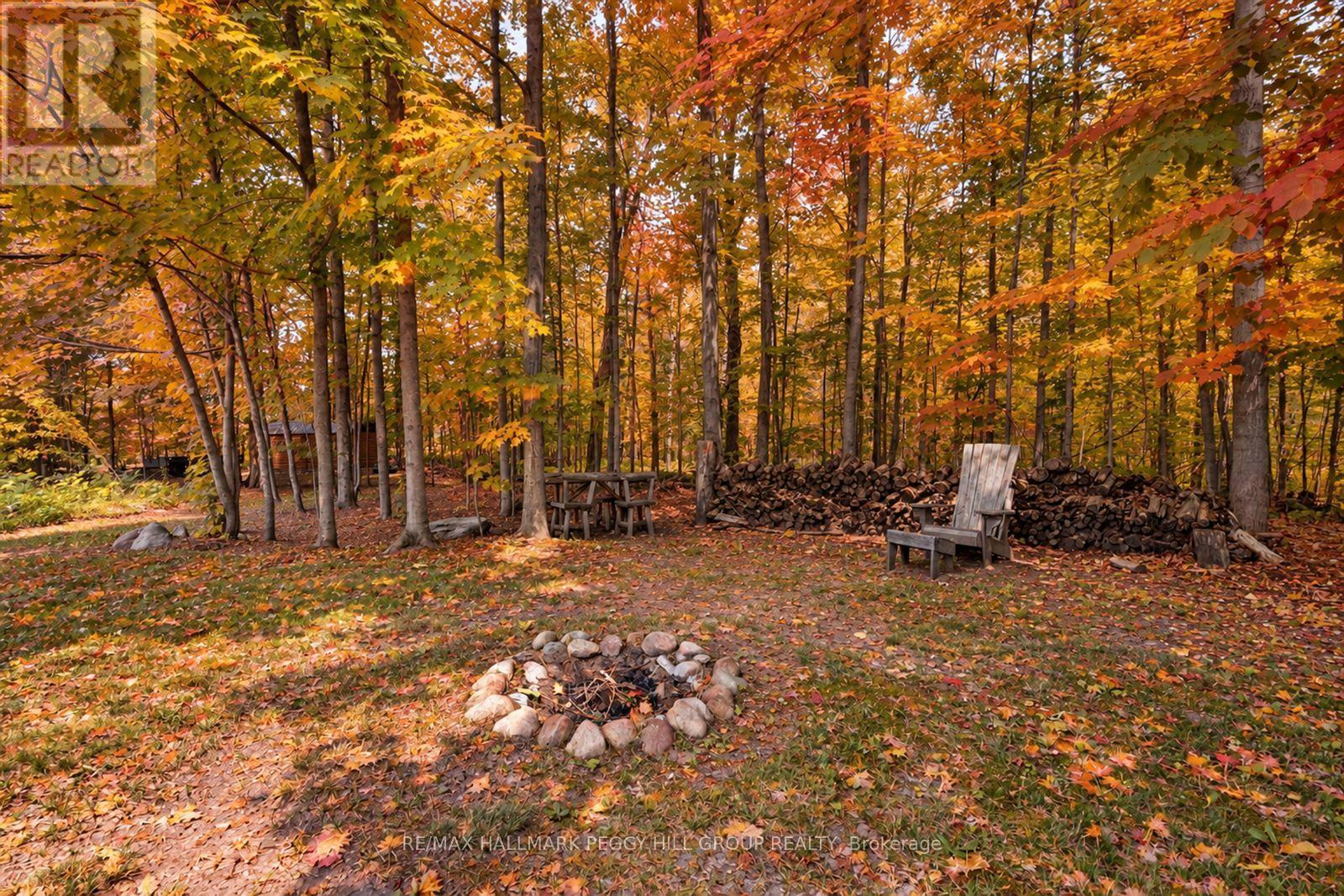 7533 County Road 10 Property Photo 25