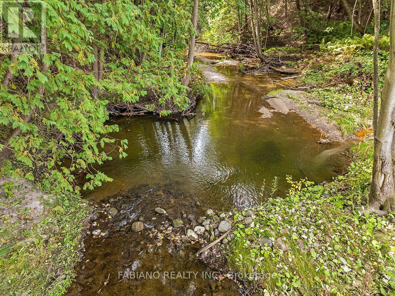 4767 14th Line Property Photo 48