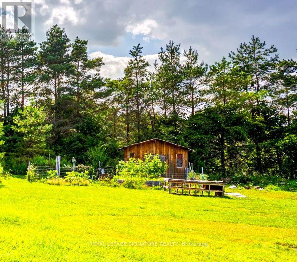 3232 15th Side Road Property Photo 48