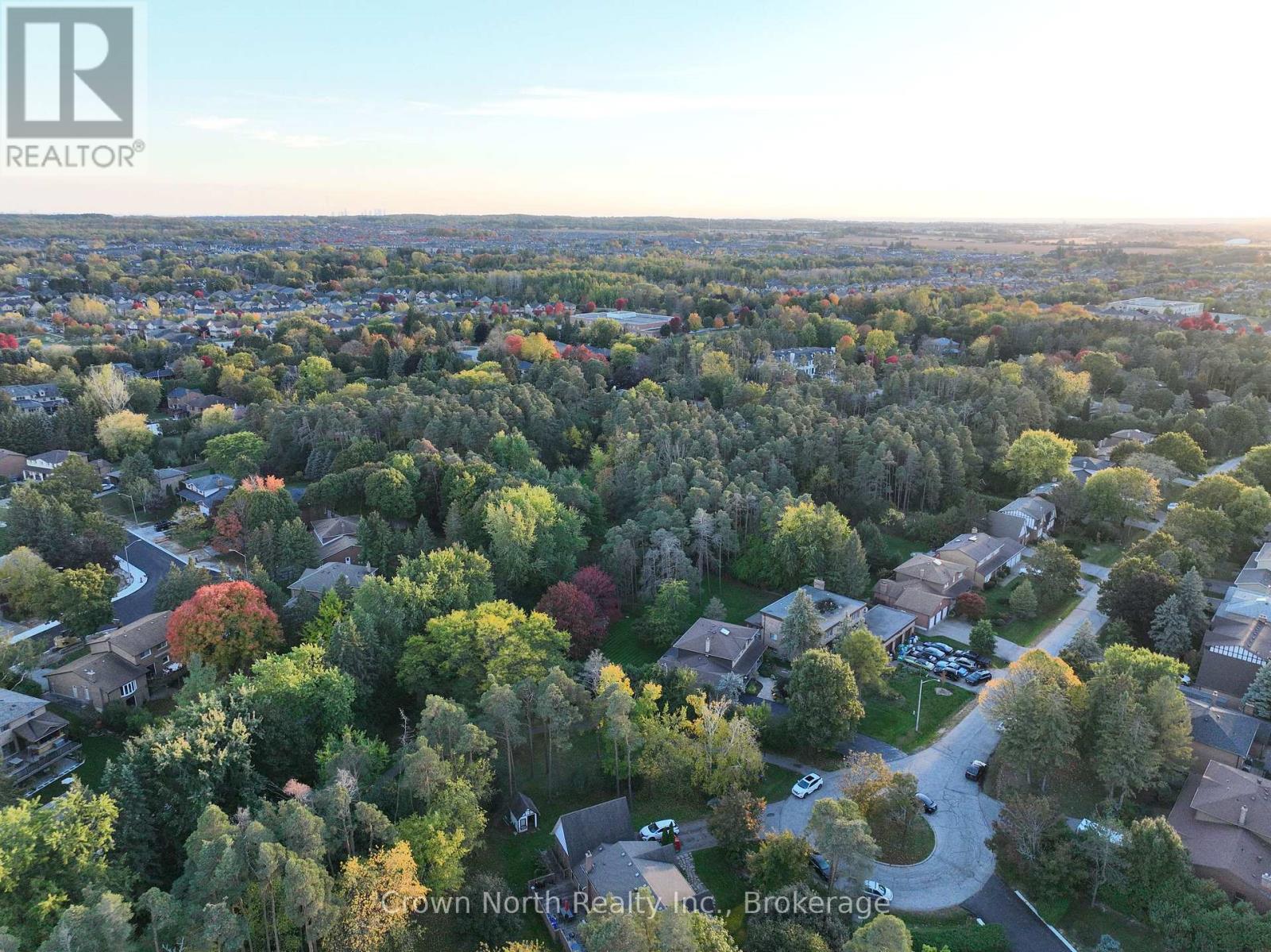 17 Black Willow Court Property Photo 49