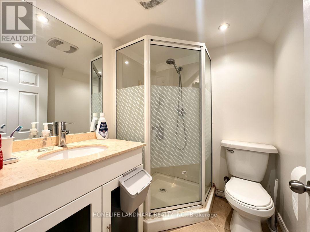 Bsmt - 17 New Havens Way Property Photo 6
