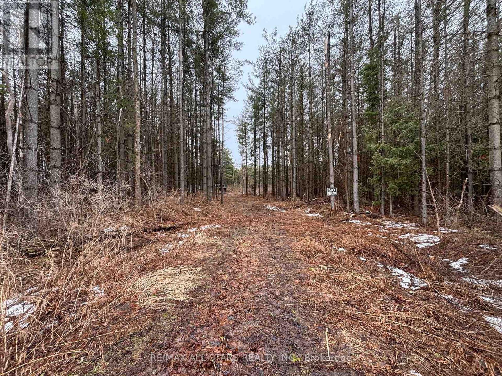 B1780 Thorah Concession 3 Road Property Photo 4