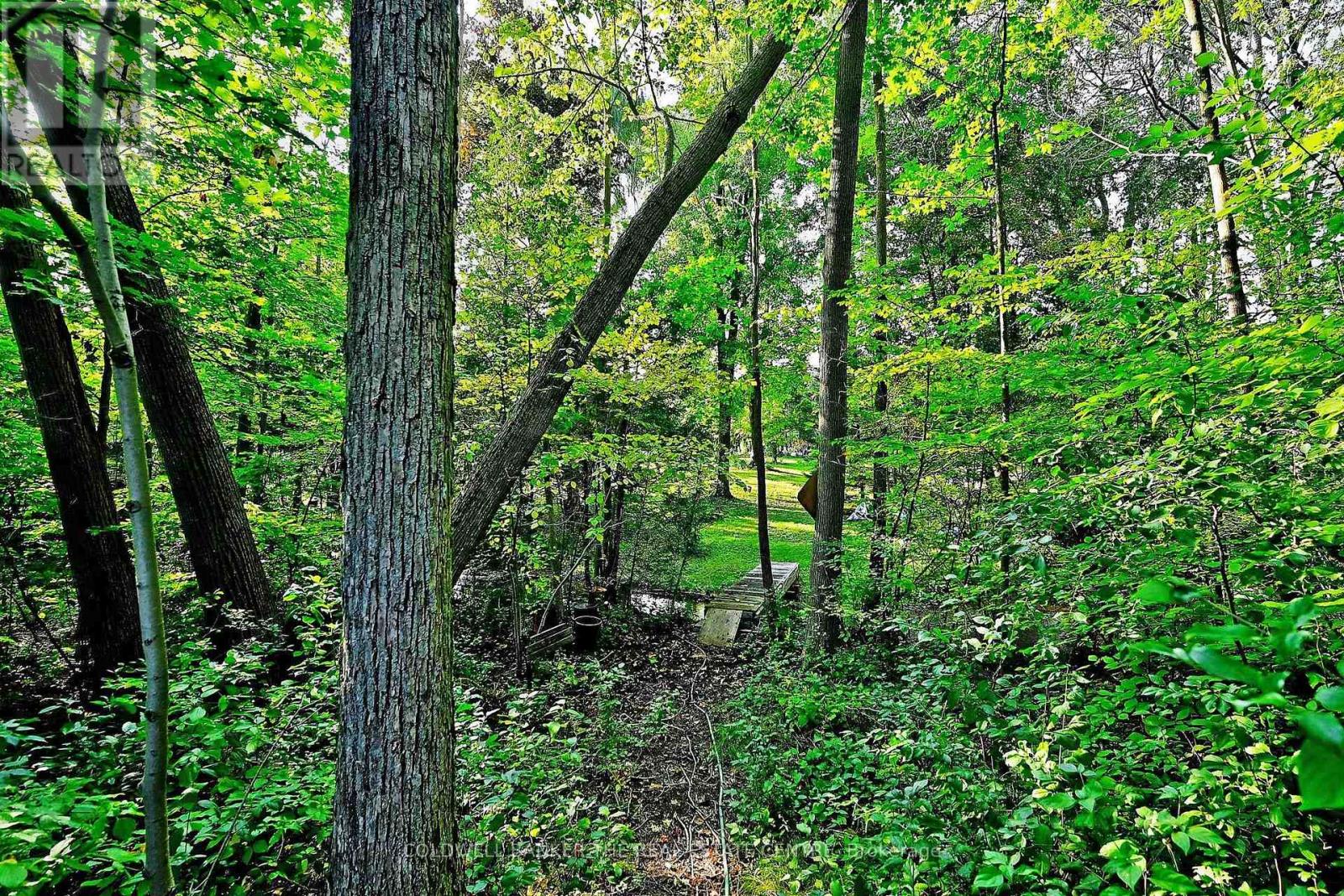 20805 Brock Road Property Photo 35