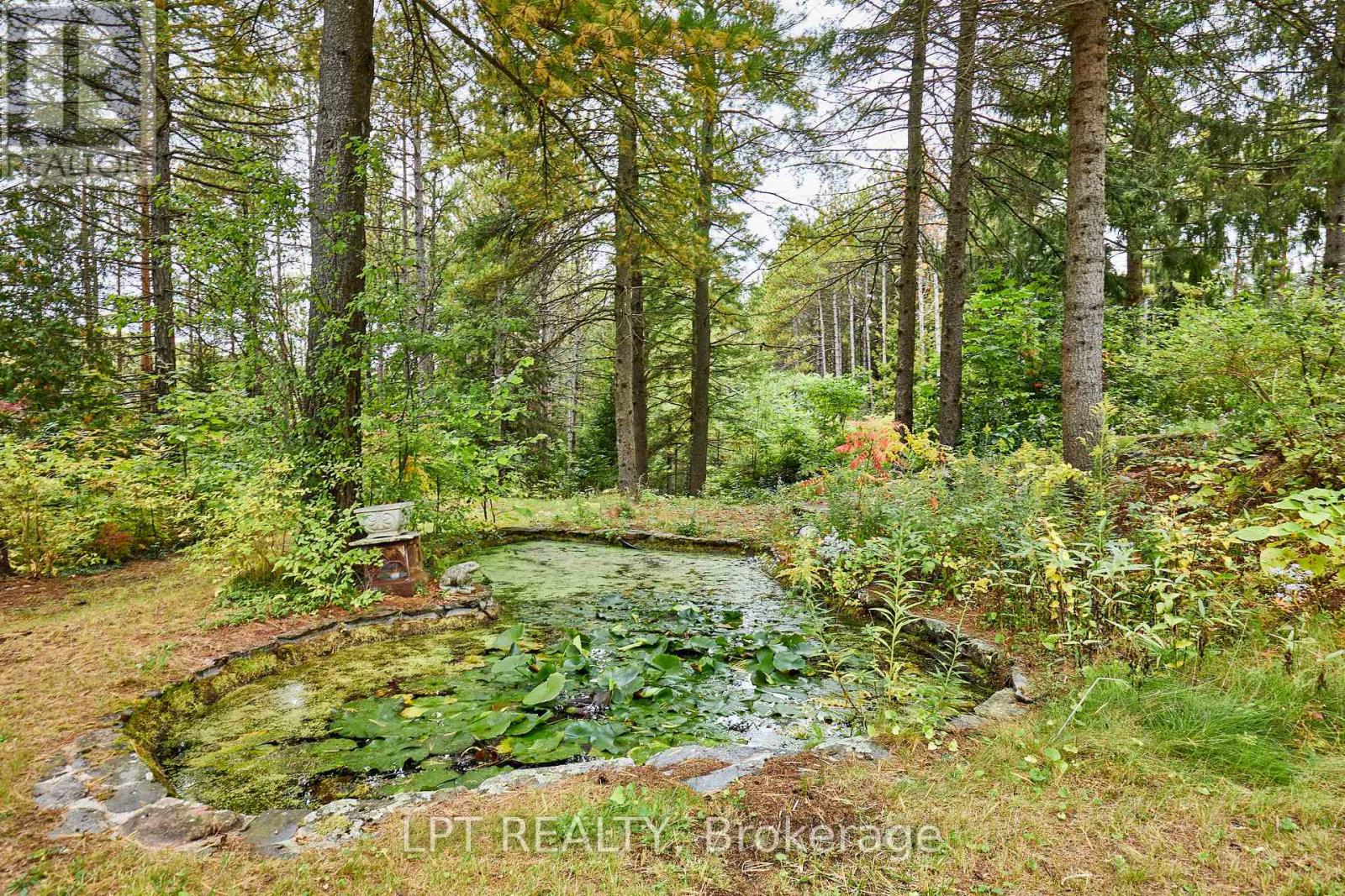 298 Wees Road Property Photo 47