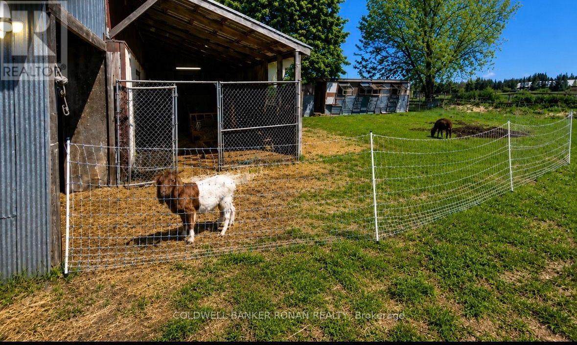 6703 Pine Plains Road E Property Photo 9