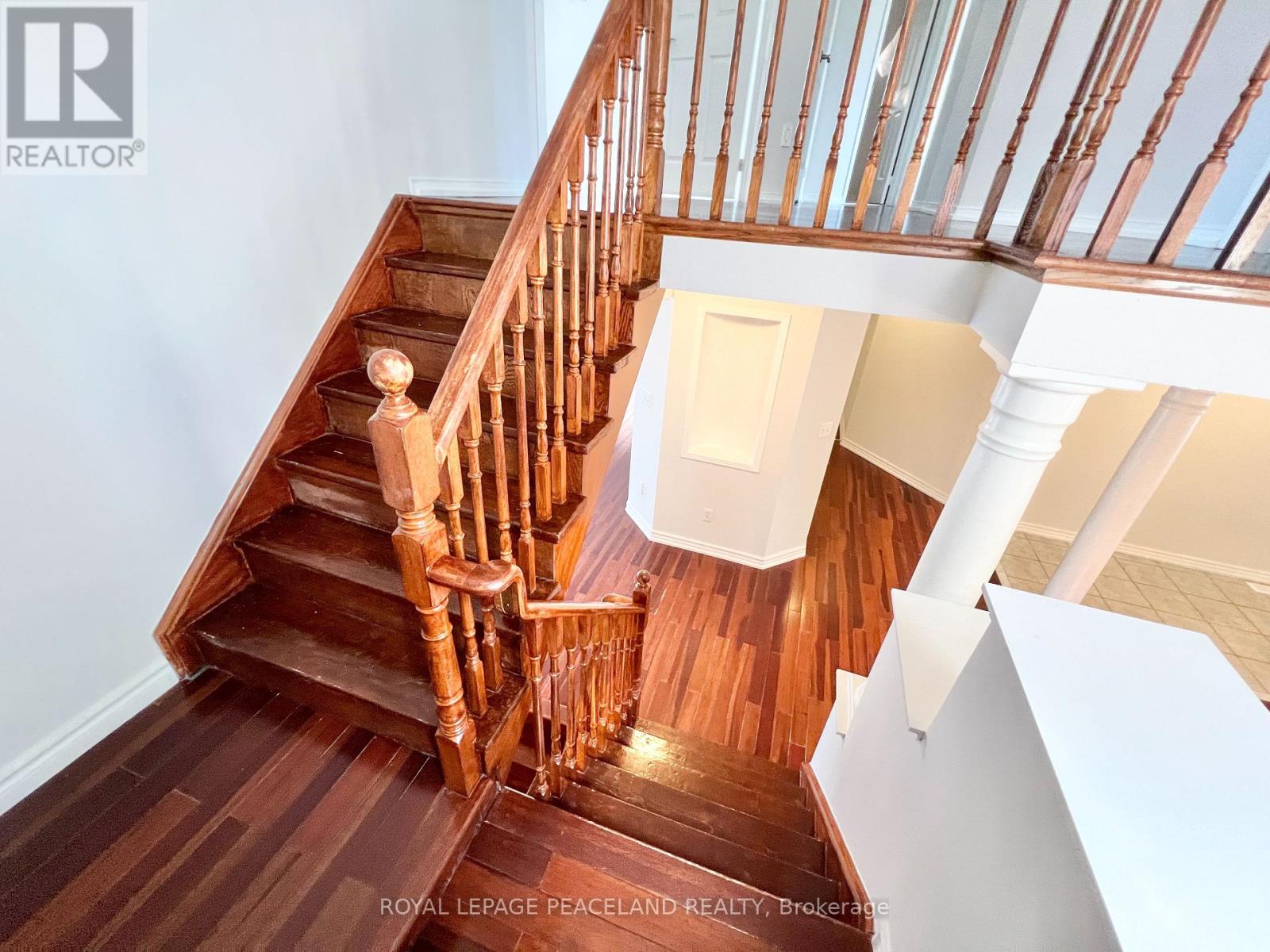 54 Treasure Road Property Photo 16