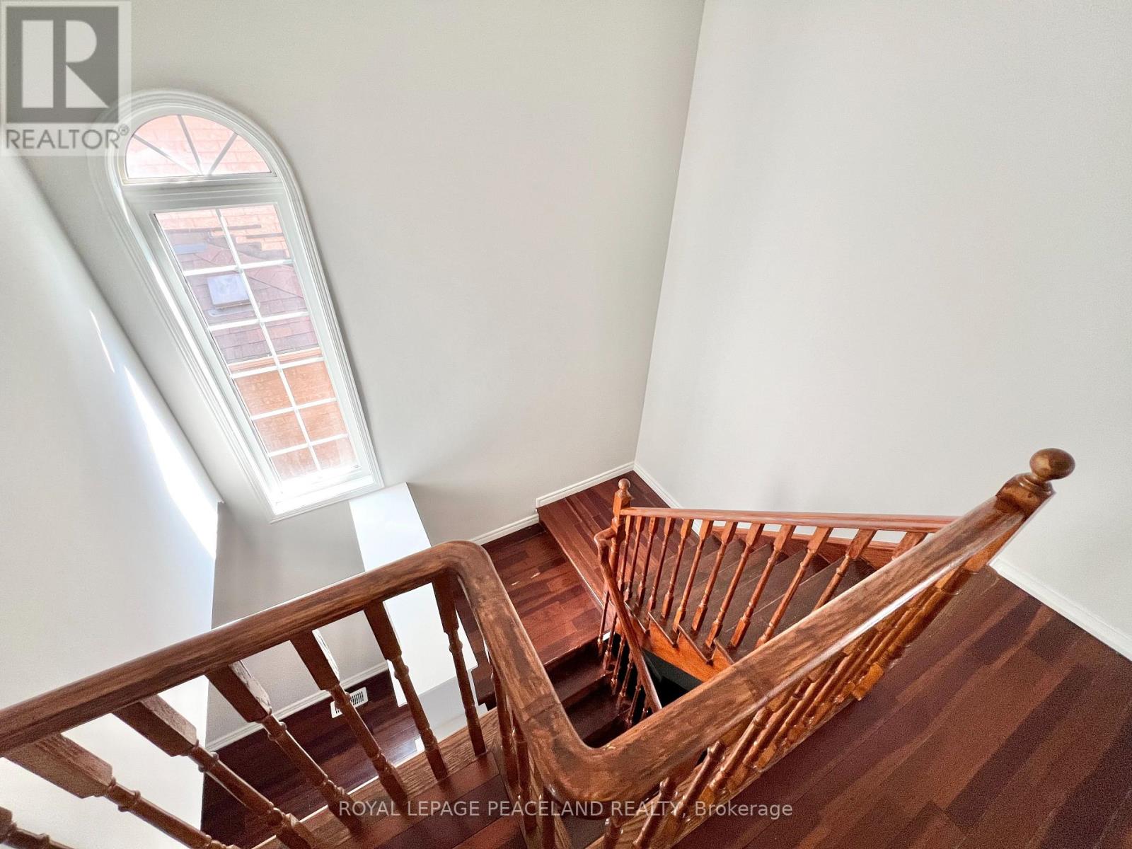 54 Treasure Road Property Photo 17