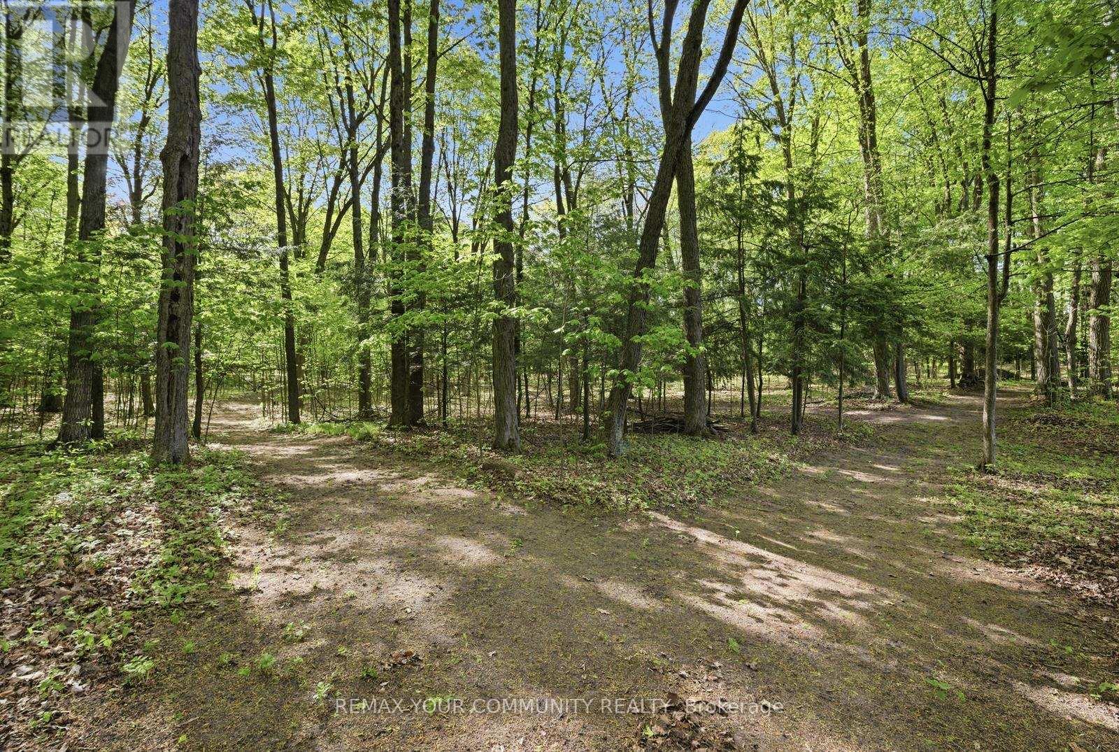 16902 Mccowan Road Property Photo 11