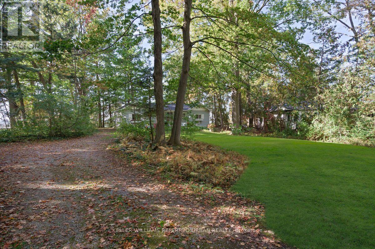25180 Maple Beach Road Property Photo 6