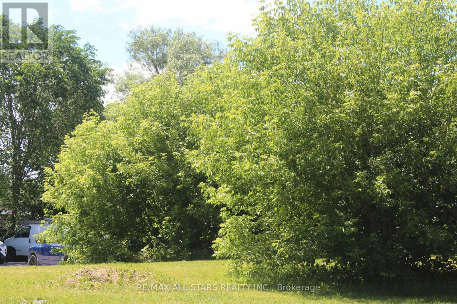 182 Frederick Street Property Photo 10