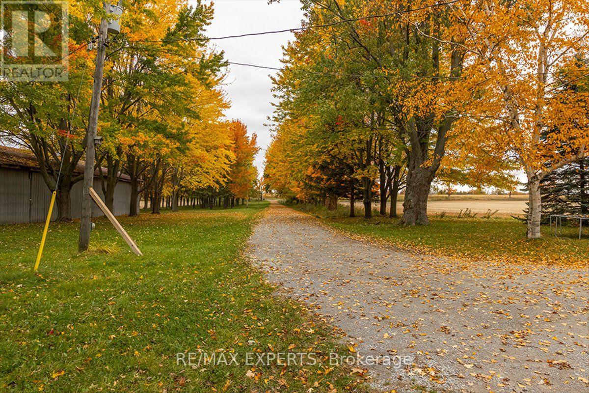 5329 15th Line Property Photo 6
