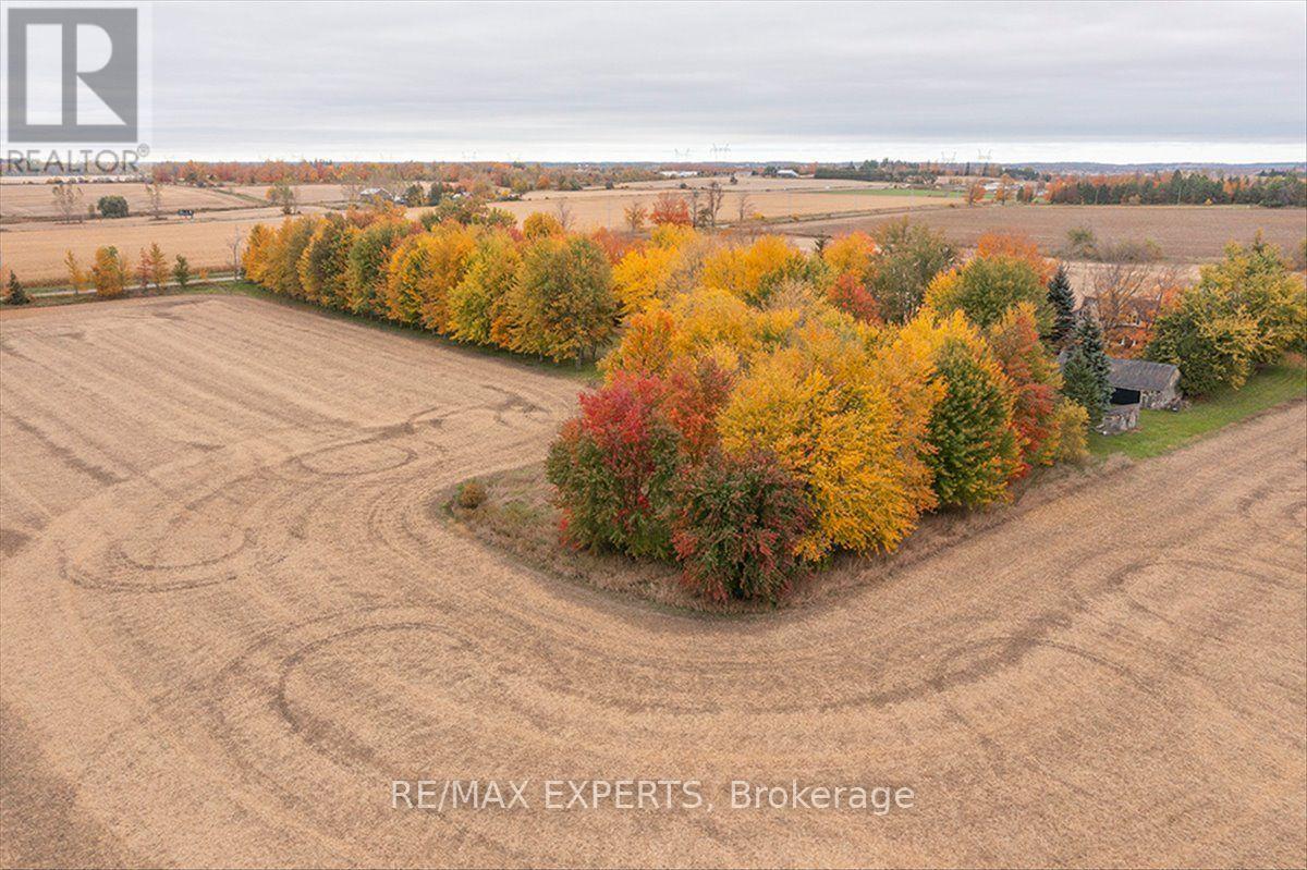 5329 15th Line Property Photo 50