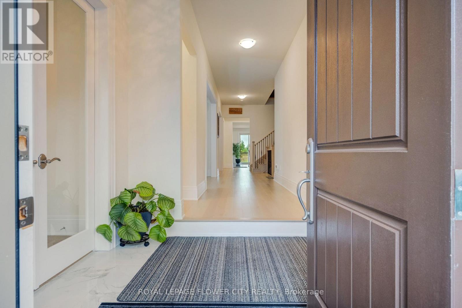 20 Seraville Street Property Photo 4