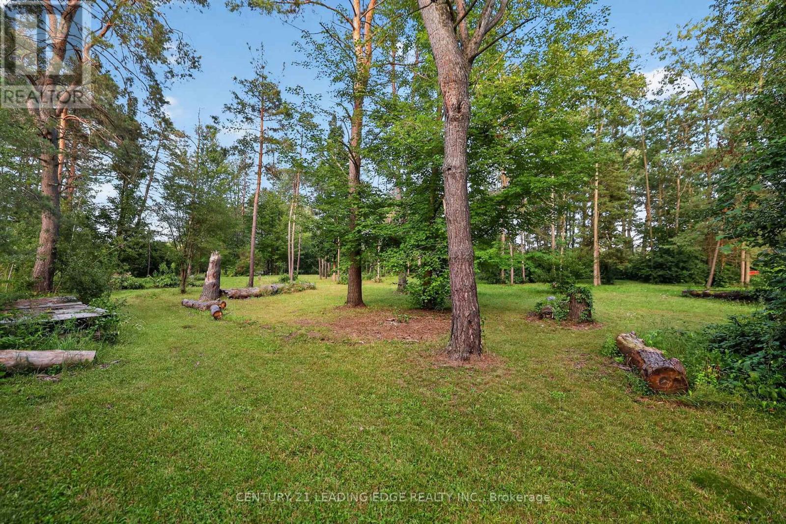 23233 Miles Road Property Photo 45