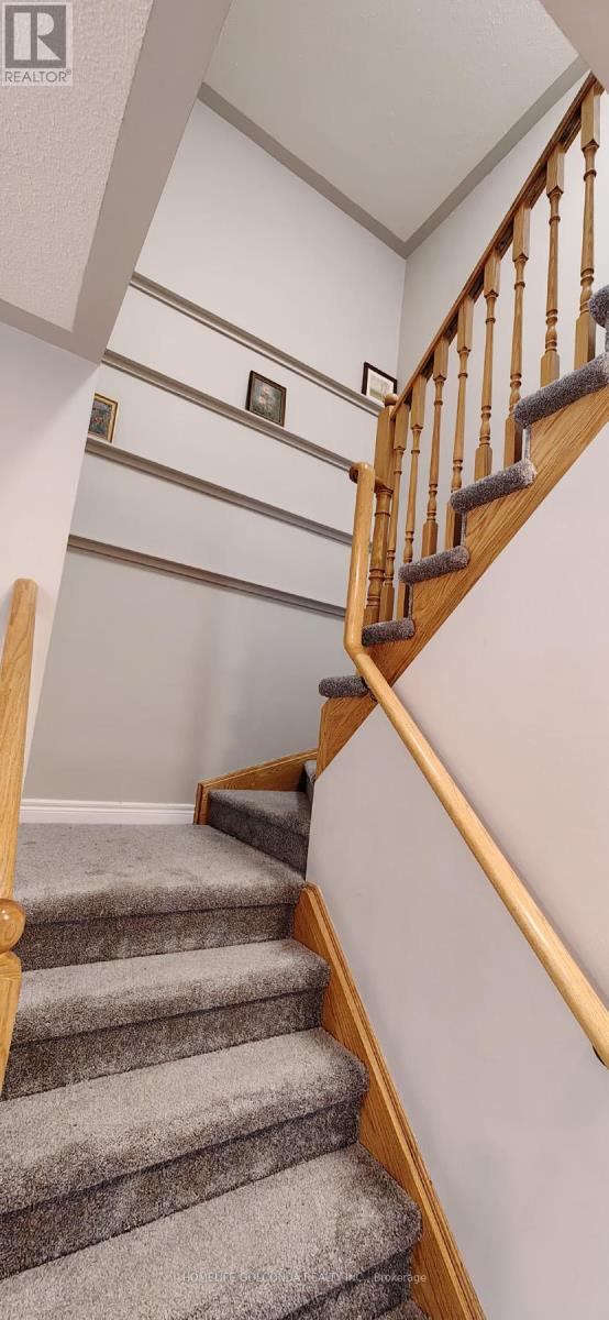 32 Cardrew Street Property Photo 14