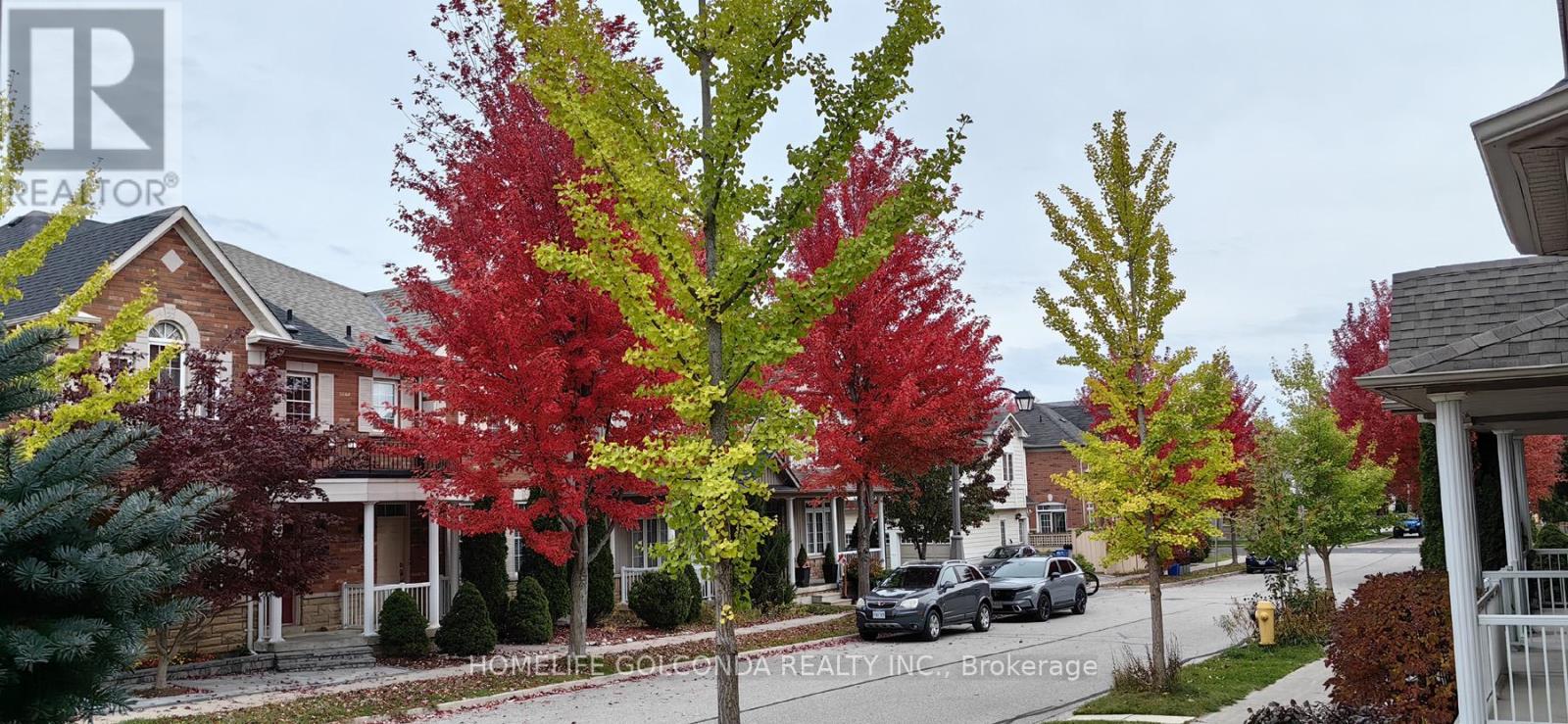 32 Cardrew Street Property Photo 31