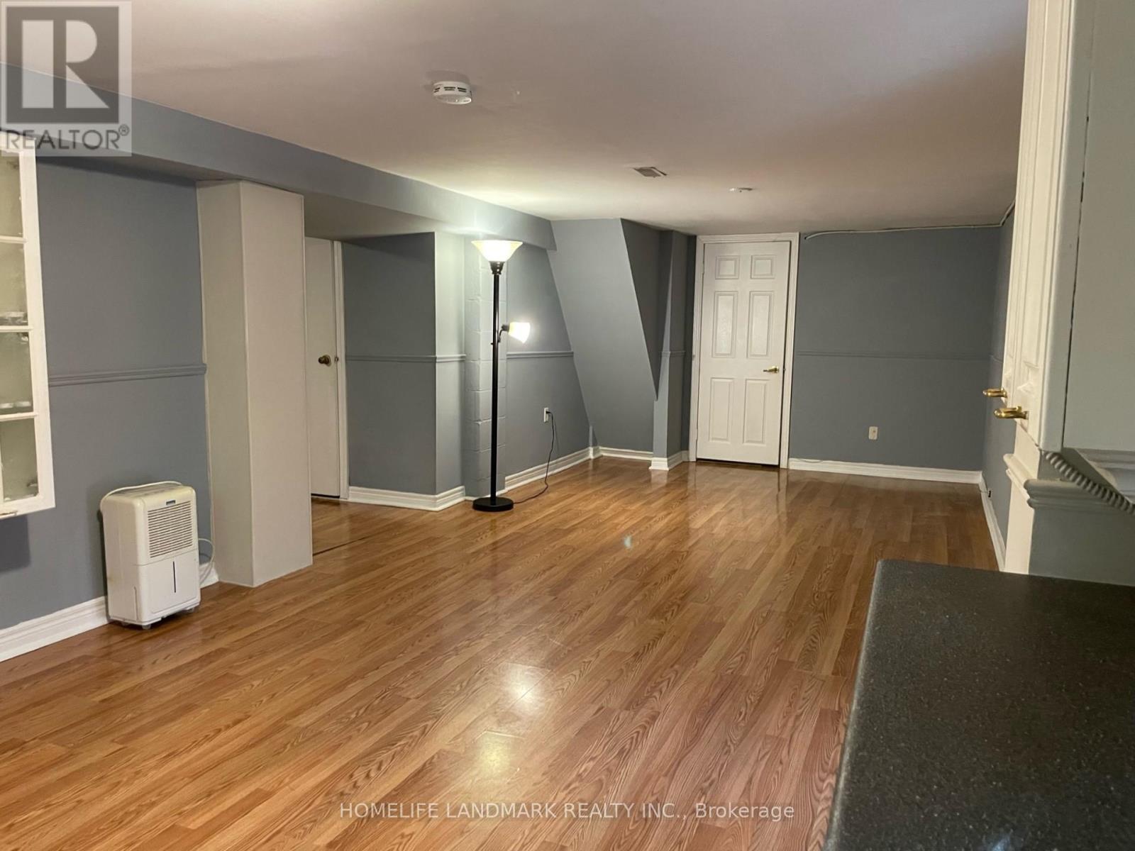 Bsmt - 265 Elgin Mills West Road Property Photo 1