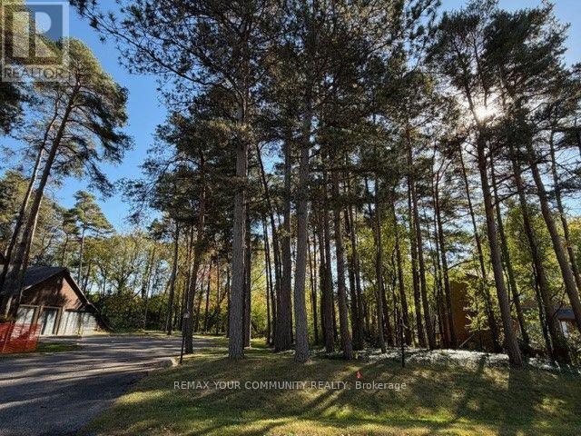 34b Cynthia Crescent Property Photo 1