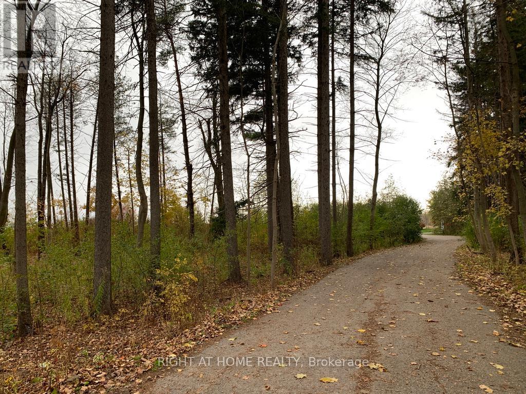 13760 Keele Street Property Photo 7