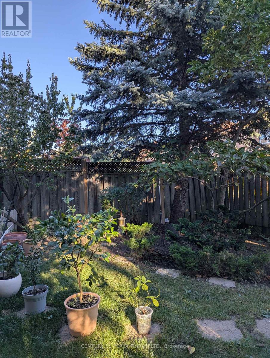 53 Elmrill Road Property Photo 47