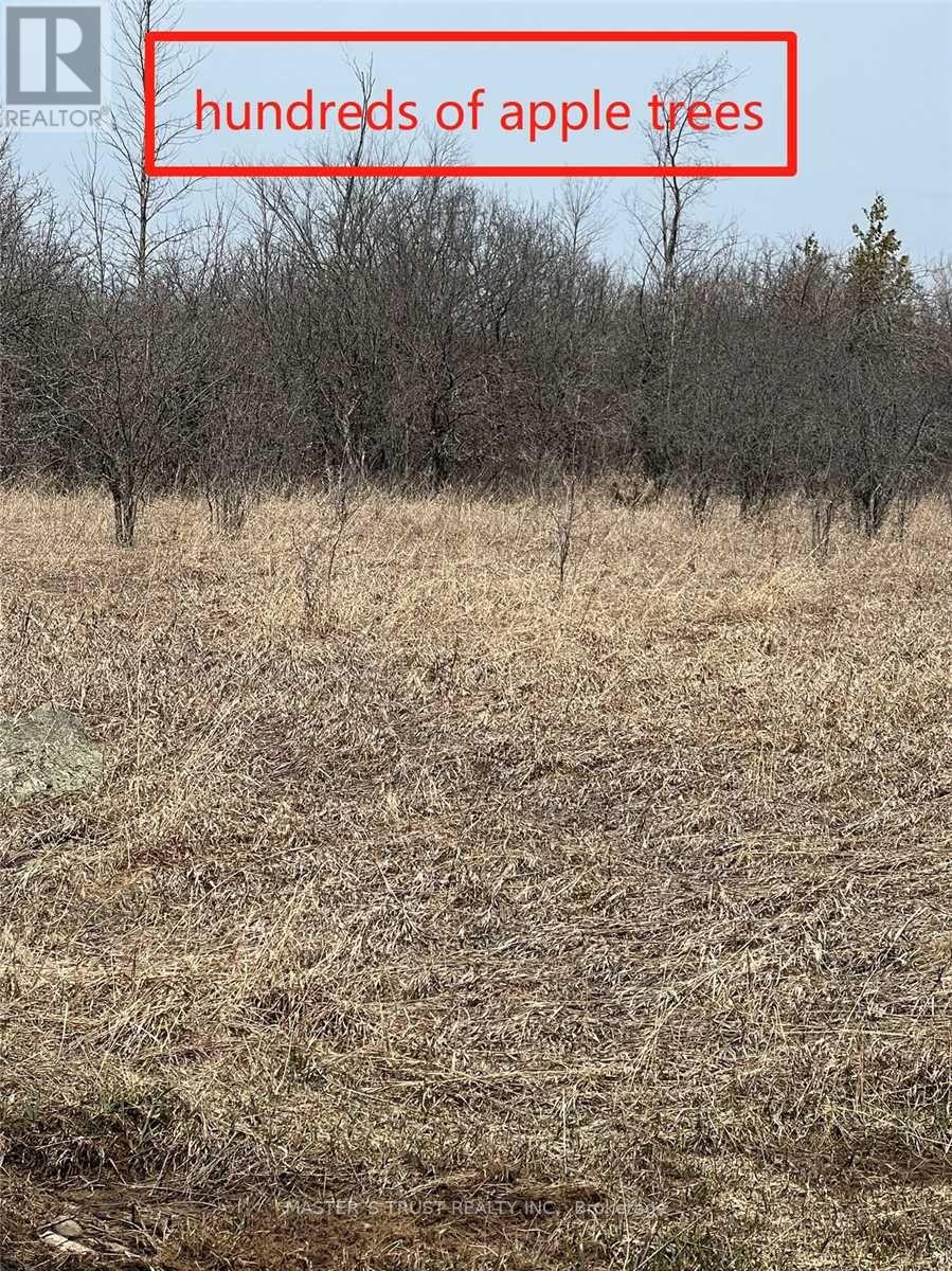 1640b Highway 48 East Road E Property Photo 21