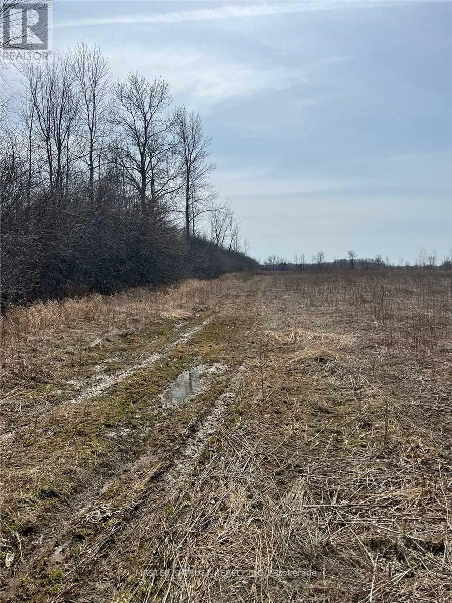 1640b Highway 48 East Road E Property Photo 29