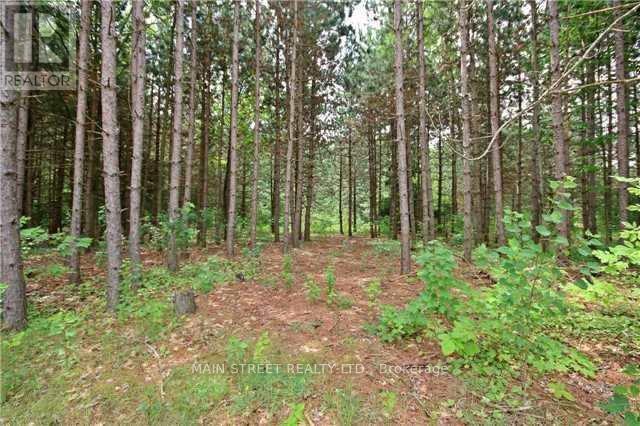 2947 Twelfth Line Property Photo 8