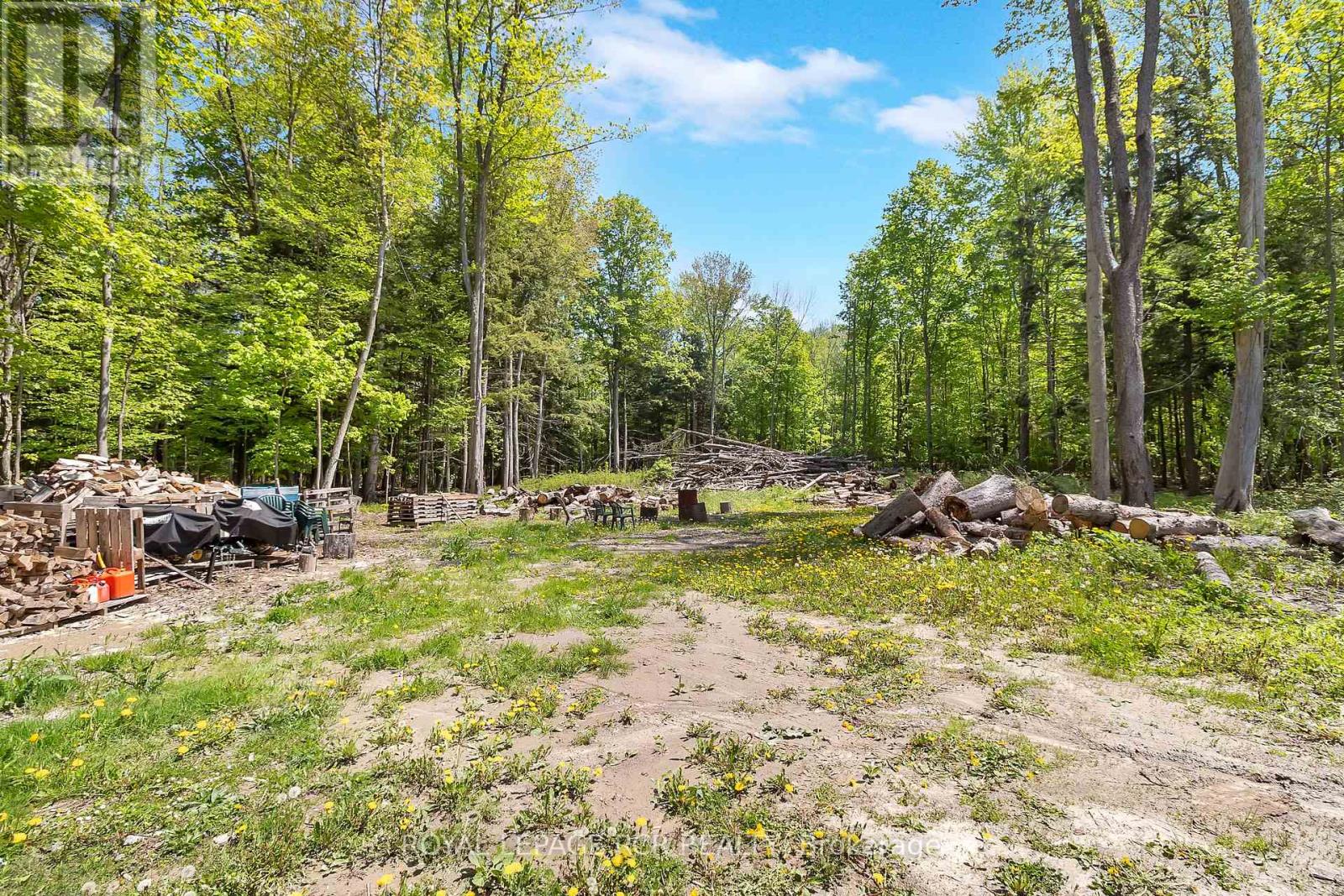 6651 Third Line Property Photo 7