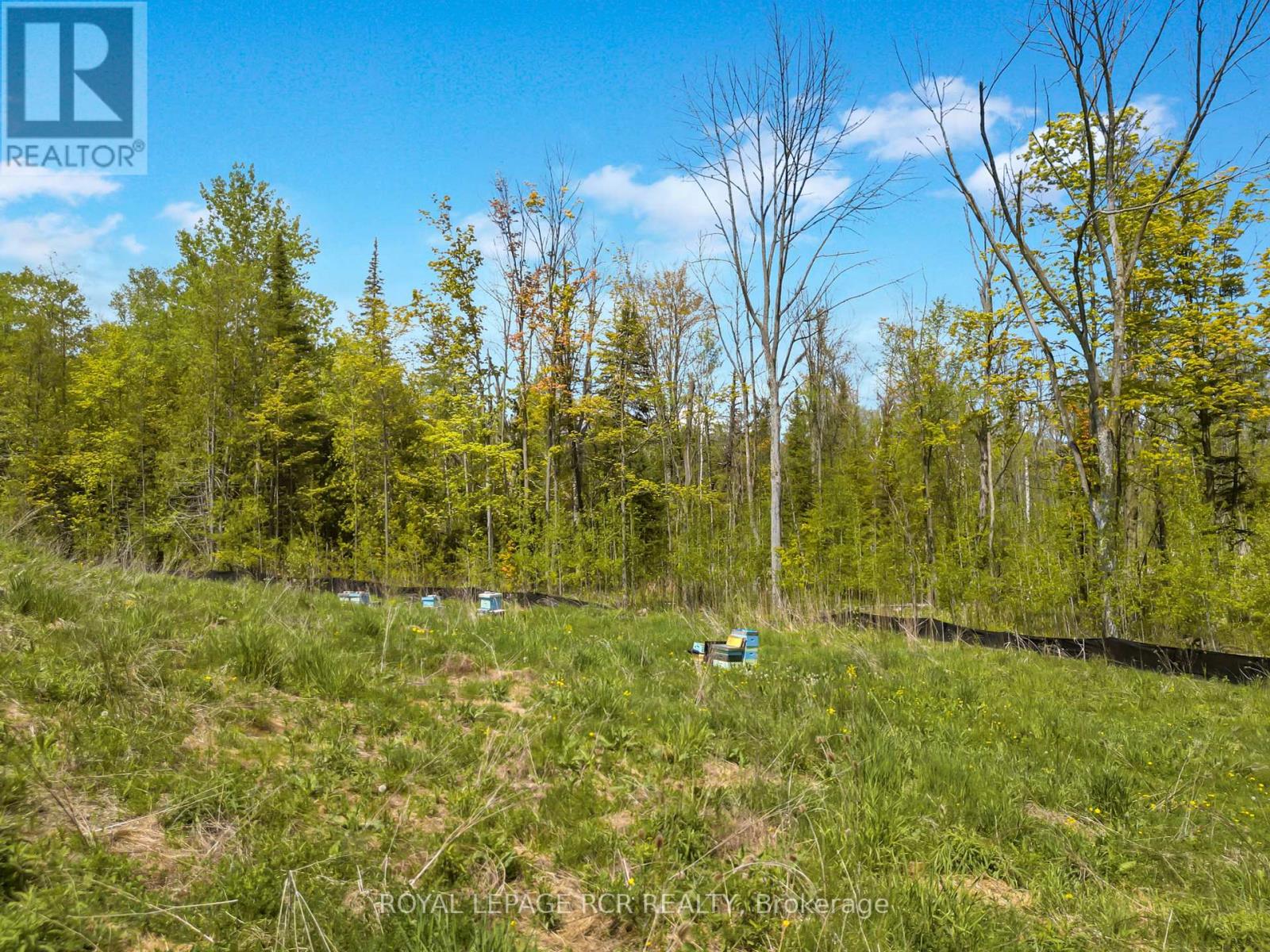6651 Third Line Property Photo 9