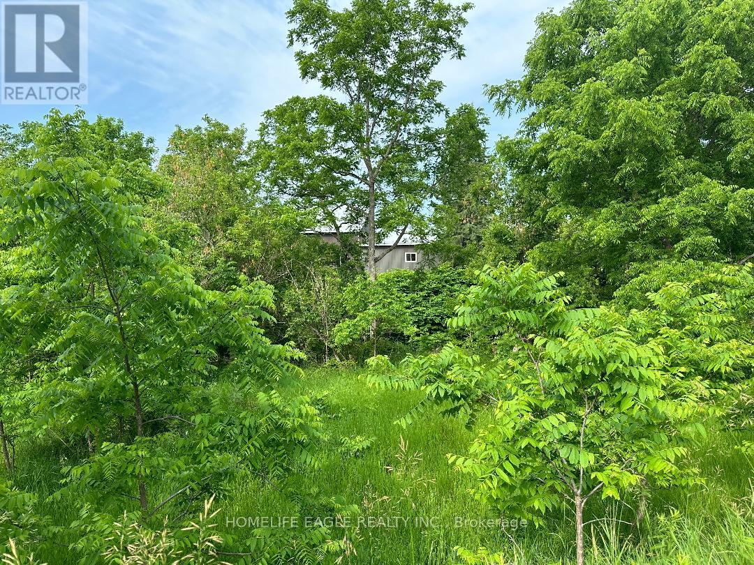 33996 Regional Rd 50 Property Photo 4